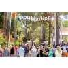 A Family Guide to Ibiza's Markets